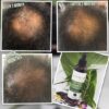 Ajumah Beauty Hot Hair Growth Oil 100ml - Afbeelding 3